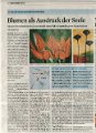 Stadtanzeiger-20.Oktober2015kl